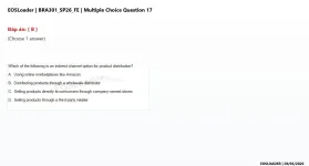 17.webp