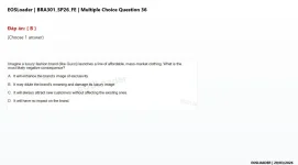 36.webp