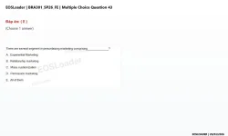 43.webp