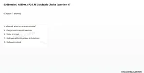 mc_question_47.webp