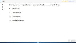 NLP301c SP26 FE_004.webp