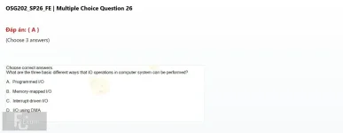 Q_026.webp