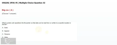 Q_032.webp