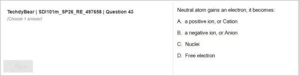 SDI101m SP26 FE RE_043.webp