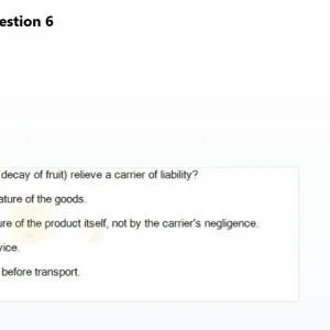 GLT301 SP26 FE RE_042.webp