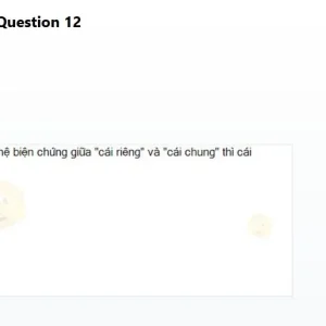 MLN111 SP26 B5 FE_12.webp