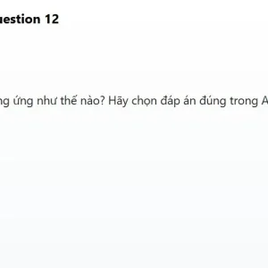JPD113 SP26 B5 FE RE_012.webp