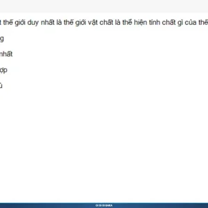 MLN111 SP26 B5 FE RE_058.webp