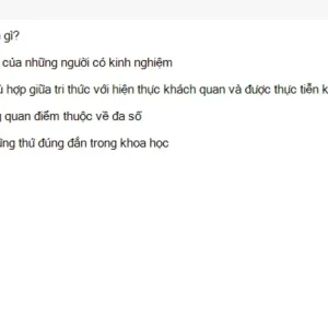 MLN111 SU26 FE_026.webp