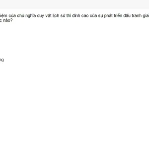 MLN111 SU26 C2FE_037.webp