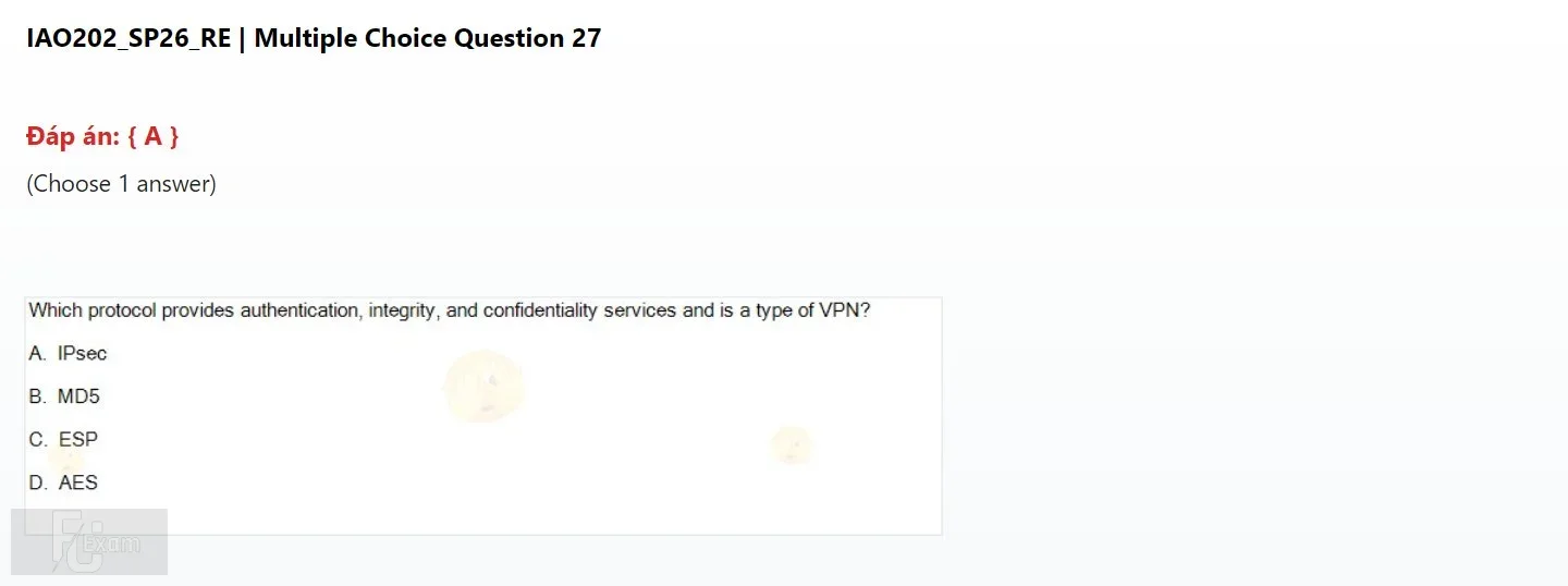 IAO202 SP26 FE RE_027.webp